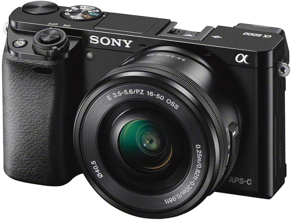 Sony Alpha a6000 Mirrorless Digital